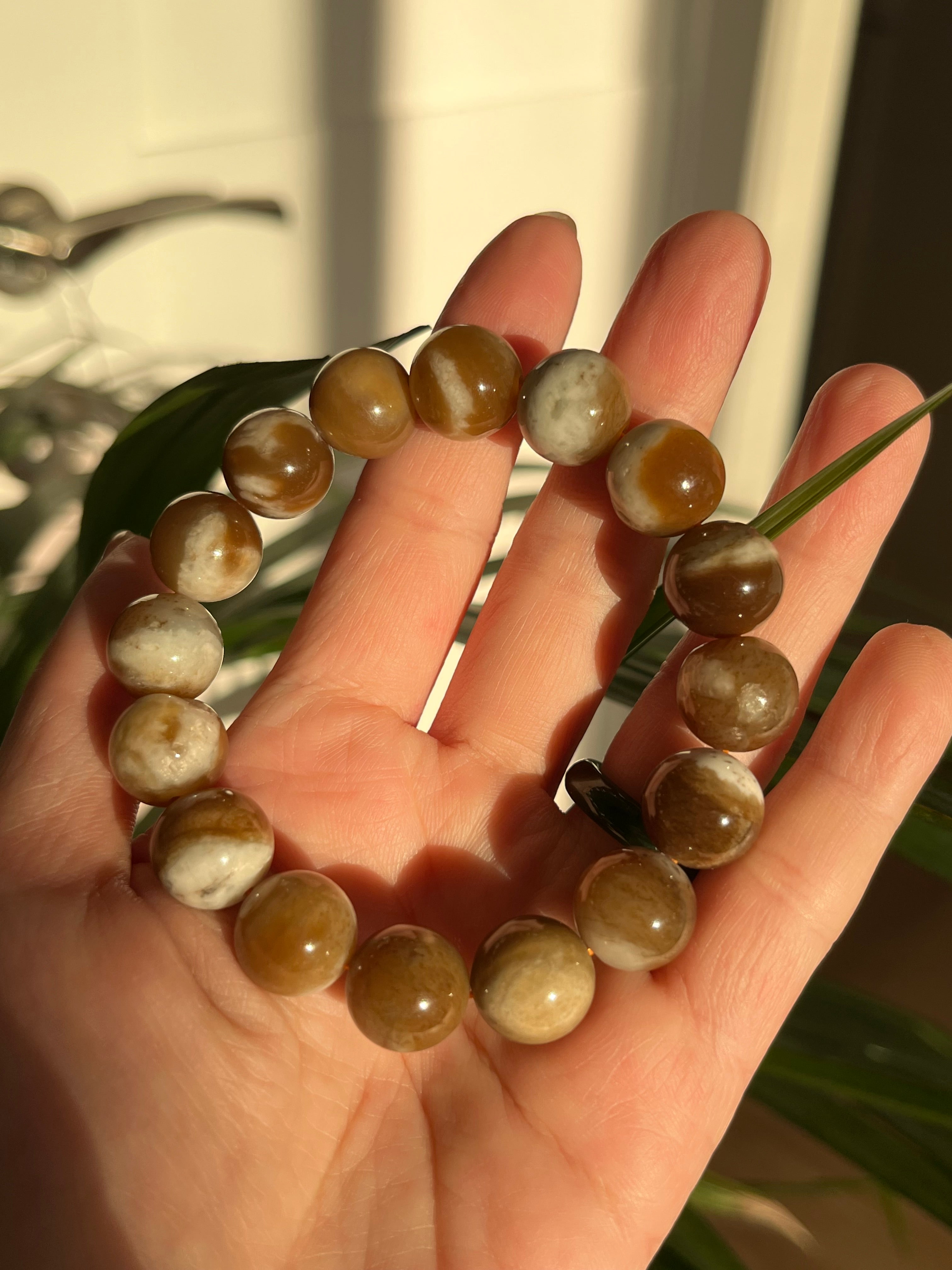 Introductory Selections – Xiao's Shop